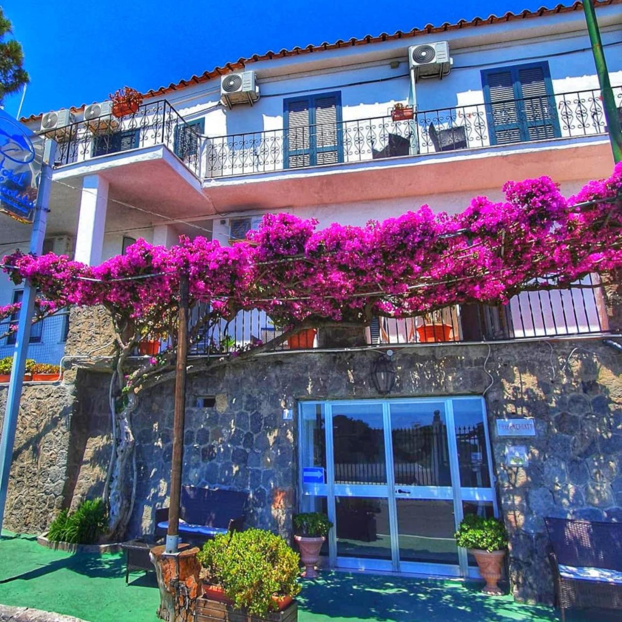 Hotel Bellavista Ischia Eksteriør billede